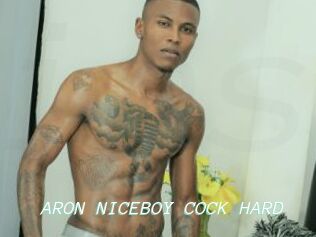 ARON_NICEBOY_COCK_HARD