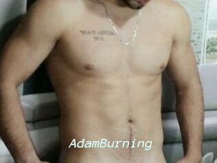 AdamBurning