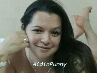 AidinPunny