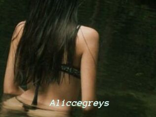 Aliccegreys