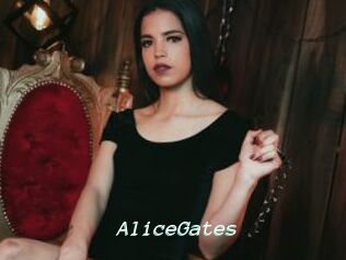 AliceGates