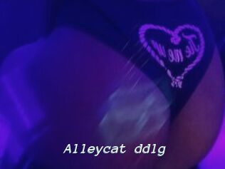 Alleycat_ddlg