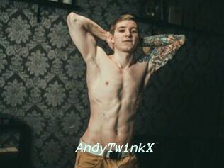 AndyTwinkX