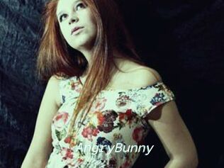 AngryBunny