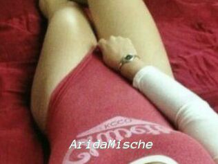 Arida_Mische