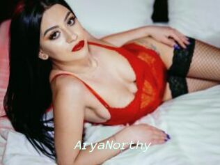 AryaNorthy