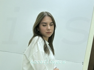 Accaflowers