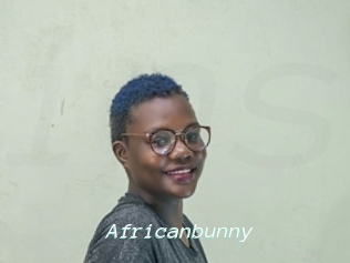 Africanbunny