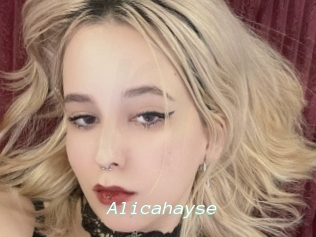 Alicahayse