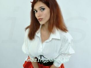 Amazingpamella
