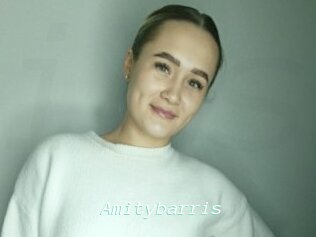 Amitybarris