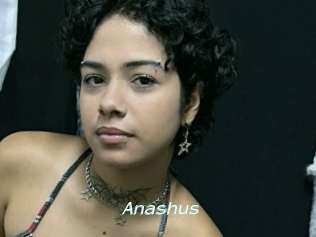 Anashus