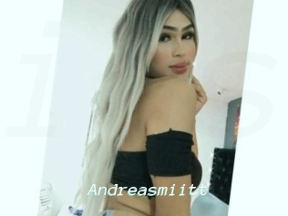 Andreasmiitt