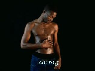Anibig