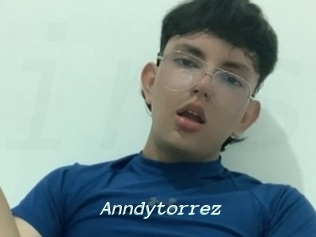 Anndytorrez