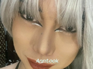 Anntook