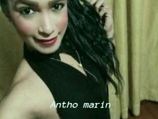 Antho_marin