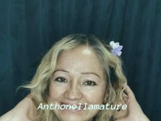 Anthonellamature