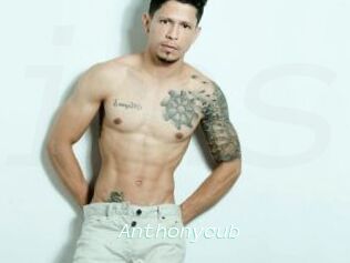 Anthonycub