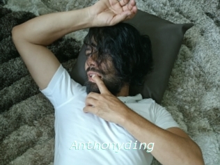 Anthonyding