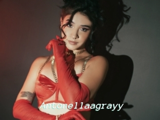 Antonellaagrayy