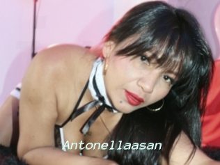 Antonellaasan