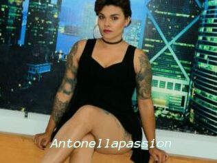 Antonellapassion