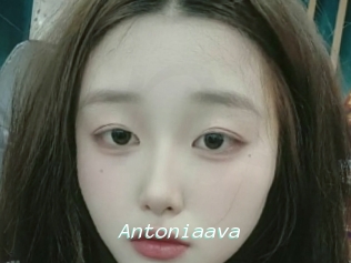 Antoniaava