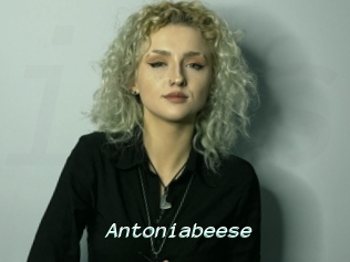 Antoniabeese