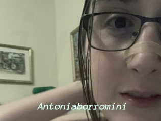 Antoniaborromini
