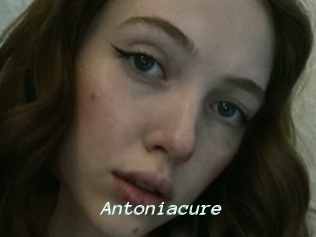 Antoniacure