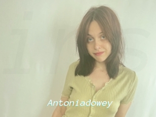 Antoniadowey