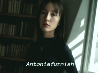 Antoniafurnish