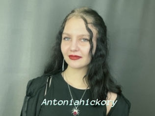 Antoniahickory