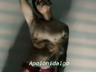 Apolohidalgo