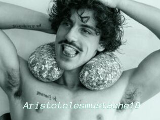 Aristotelesmustache18