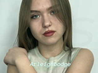 Arleighbodge
