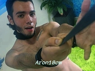 Aron18cm