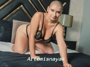 Artemisnayak