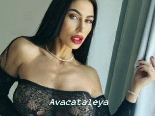 Avacataleya