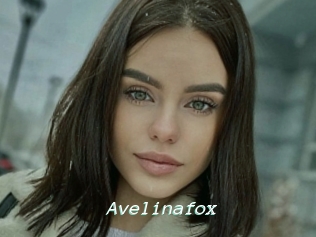 Avelinafox
