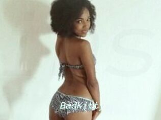 Bad_Kitty_
