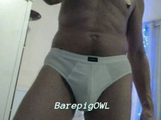 BarepigOWL