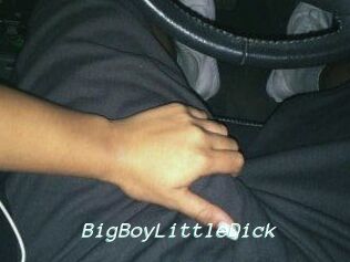 BigBoyLittleDick