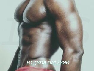 BigSnack42300