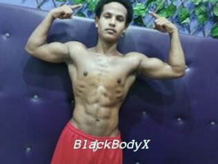 BlackBodyX