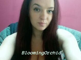 BloomingOrchid