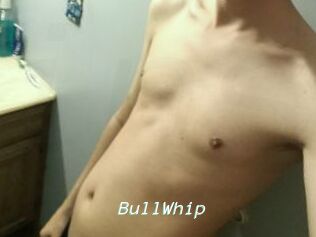 BullWhip