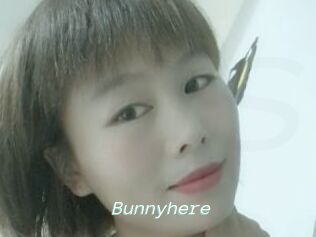 Bunnyhere