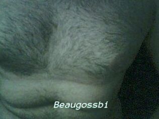 Beaugossbi